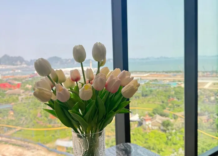 Aparthotel Ho Khach San The Ha Long, Bai Chay, Quang Ninh, 2n2vs *